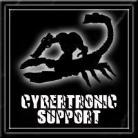 Cybertronic Support