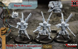 Tiger Dragons